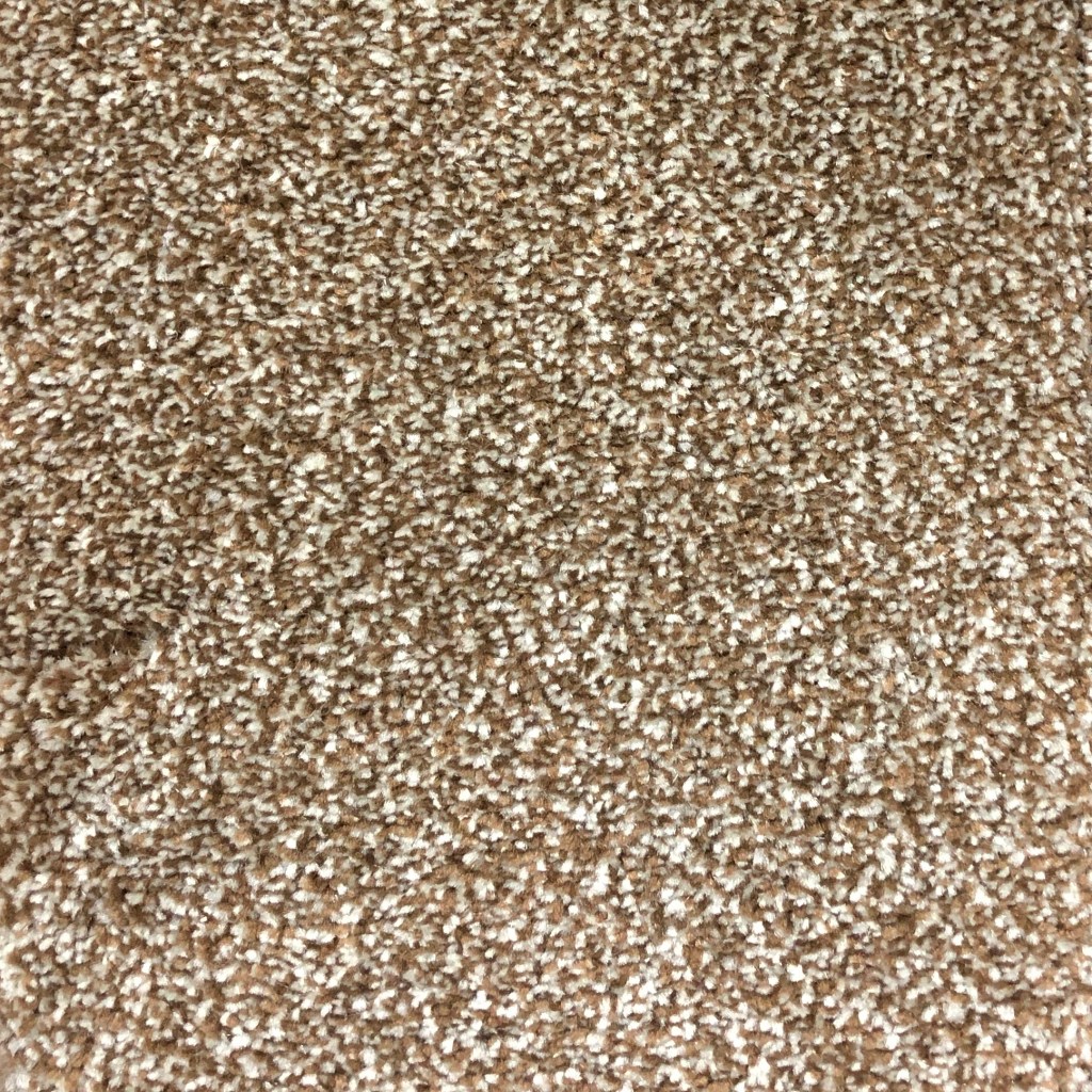 Deep Feelings Carpet Caramel