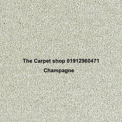 Sophisticat carpet in champagne