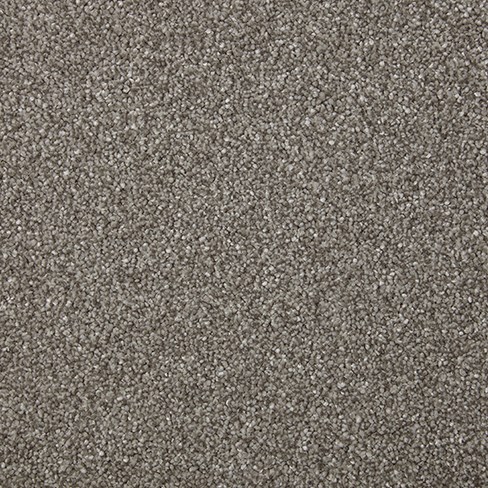 Sensation Heathers In Alpine Stone