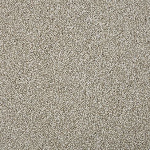 Sensation Heathers In Macadamia