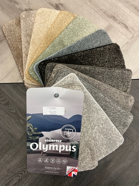Stainfree Olympus Carpet By Abingdon