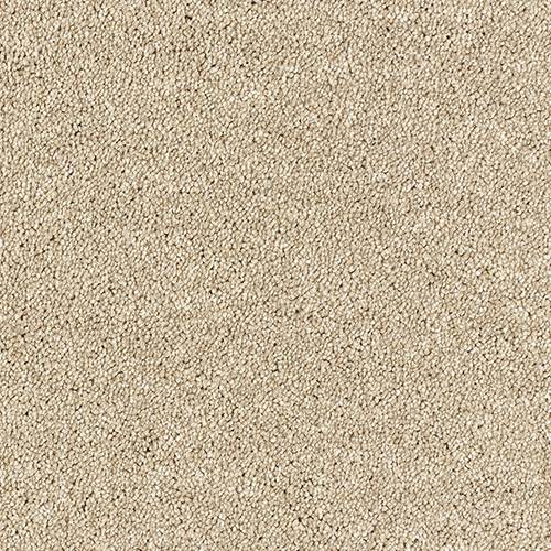 Lasting Romance Pashmina