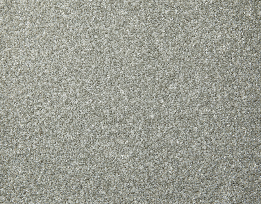 Apollo Plus Persian doll