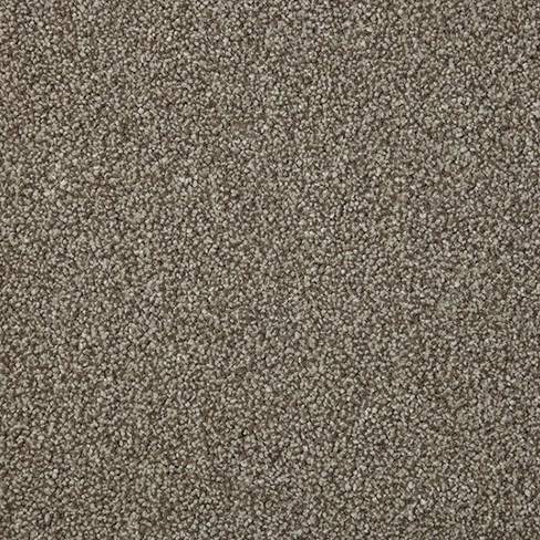 Sensation Heathers In Sable