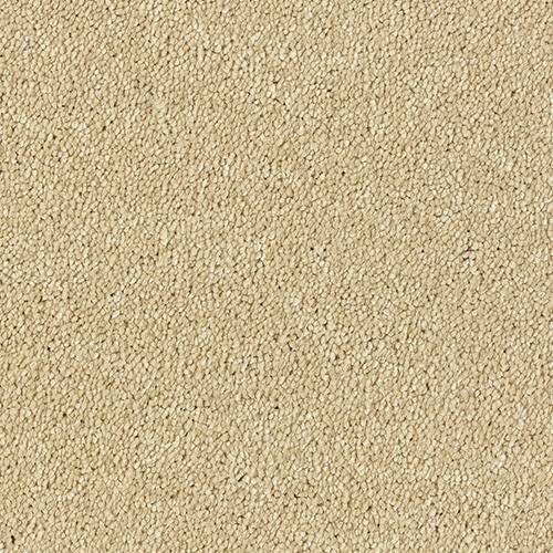 Olympus Carpet Sahara