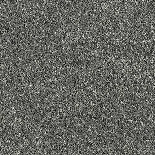 Olympus Carpet Steel