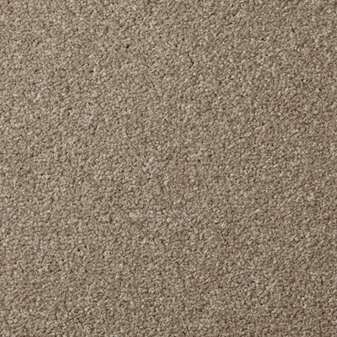 Apollo Plus stepping stone