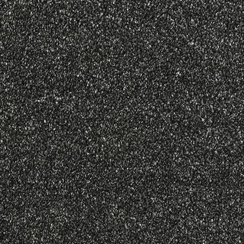 Olympus Carpet Thunder