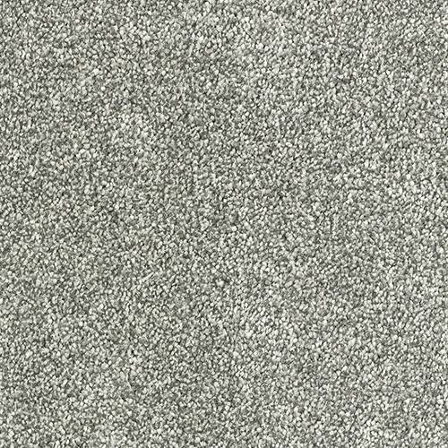 Olympus Carpet Titanium