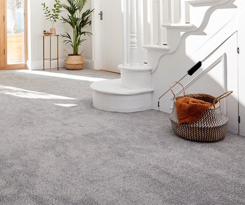 Stainfree Tweed Carpet by Abingdon