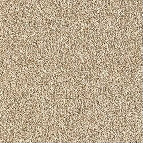 Stainfree Shepherd Rustique Carpet