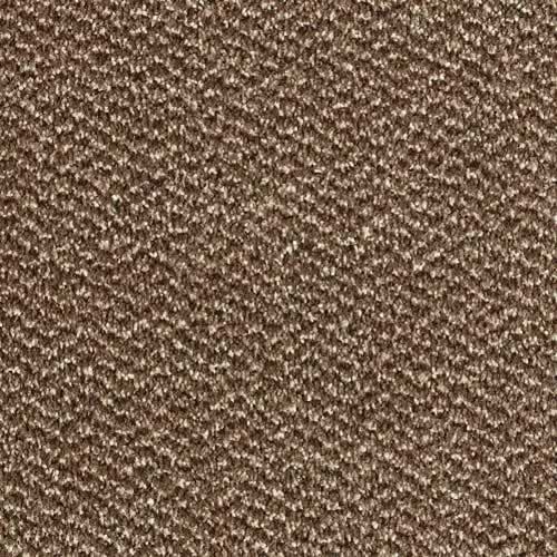 Stainfree Tweed Carpet