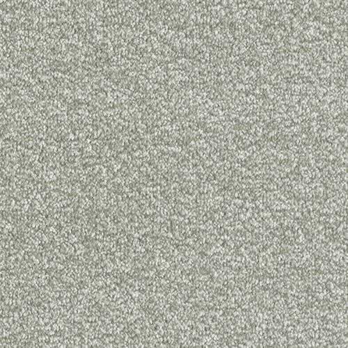 Stainfree Ultra Carpet