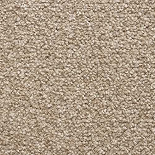 Cedar Falls Stainfree Twist Carpet