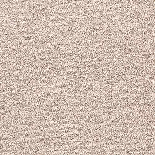 Encore Elite Stainfree Twist Carpet