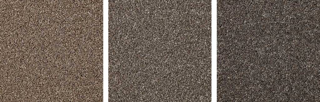 Dark brown carpets hide dirt