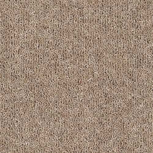 Wool Twist Carpets At The Carpet Shop In North Shields