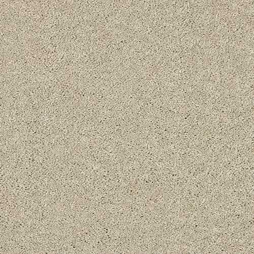 Seduction Carpet by Abingdon