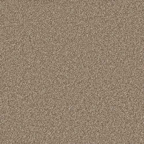 Woodland Supreme Stainfree Twist Carpet