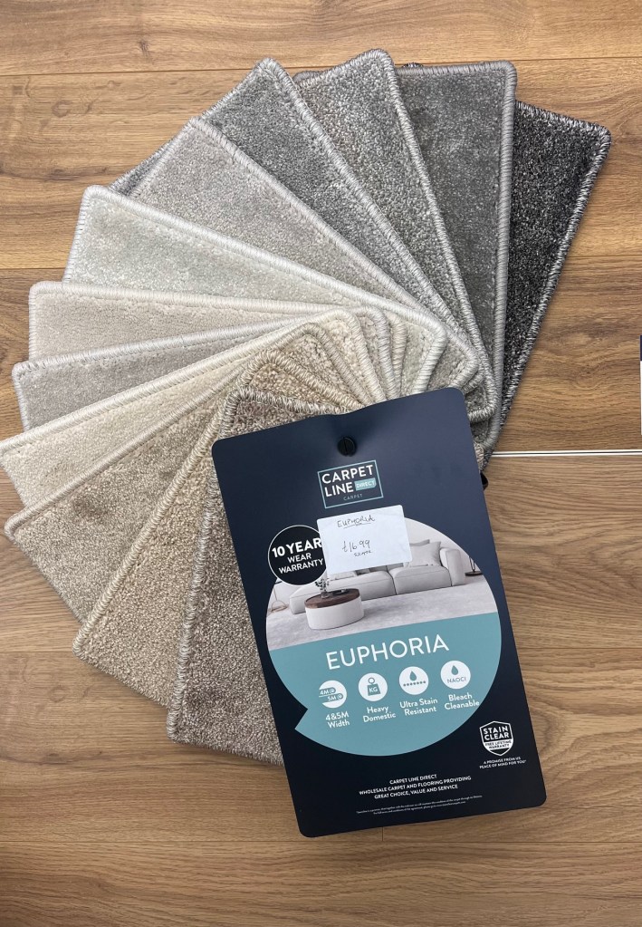Euphoria Soft Saxony Carpet Sample Book