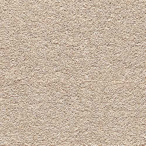 Action Back Carpets
